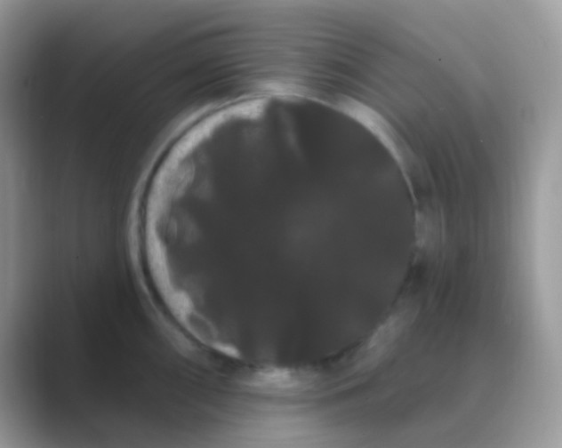 X0000089761098200707051829