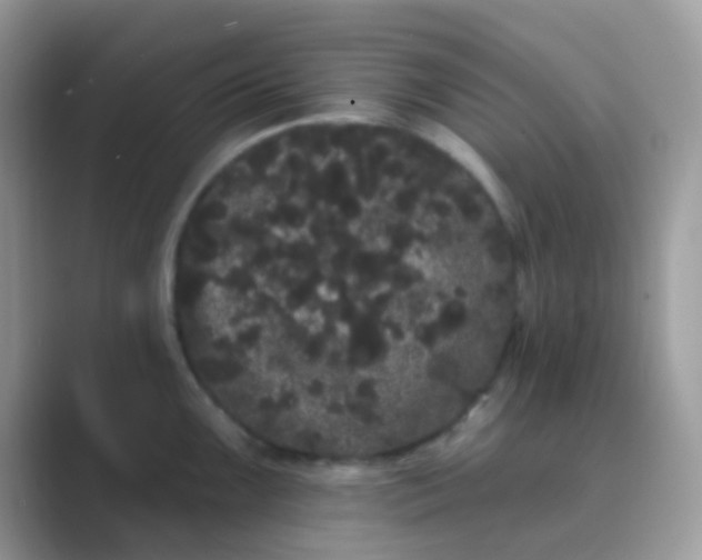 X0000089761099200707051829