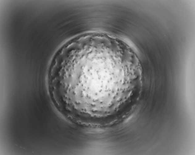 X0000089761100200707051829