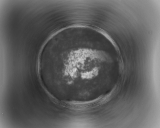 X0000089761101200707051829