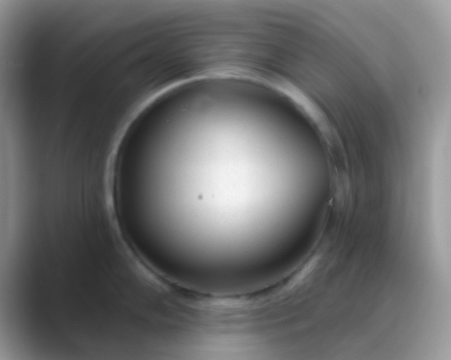 X0000089761102200707051829