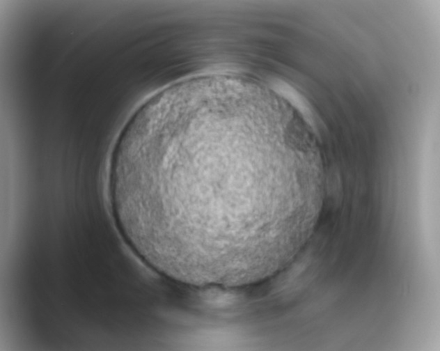 X0000089761103200707051829