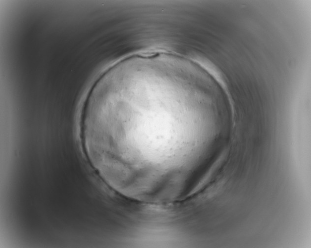 X0000089761104200707051829