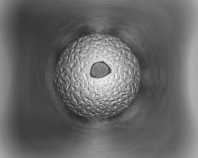 X0000089761105200707051828