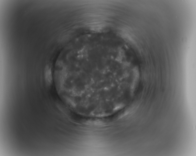 X0000089761106200707051828