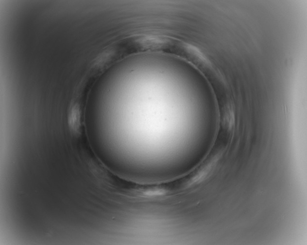 X0000089761108200707051828