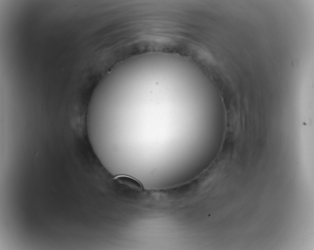 X0000089761109200707051828