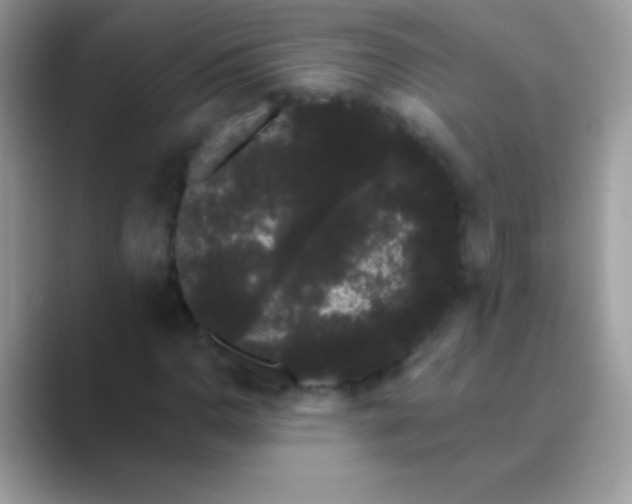 X0000089761110200707051828