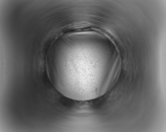 X0000089761111200707051828