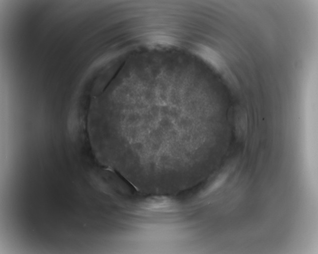 X0000089761112200707051828