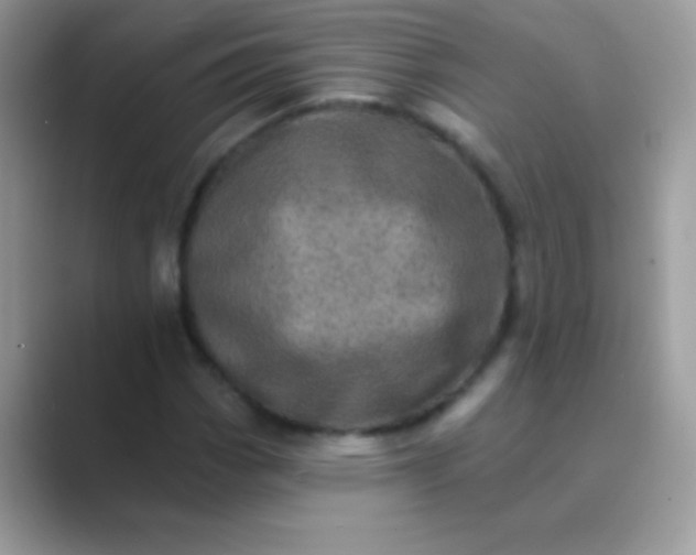 X0000089761113200707051828