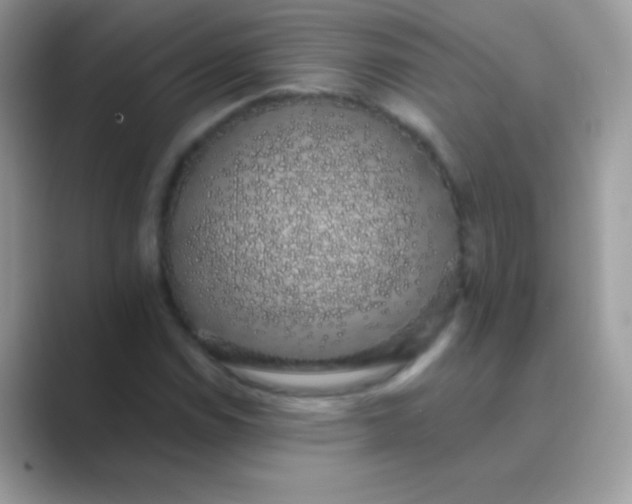 X0000089761114200707051828