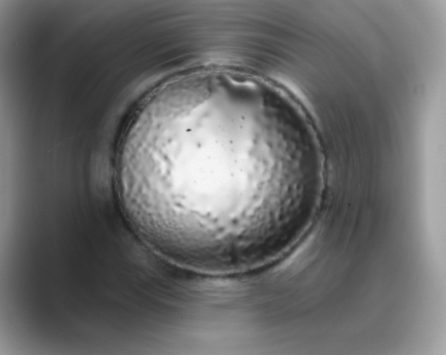 X0000089761115200707051828