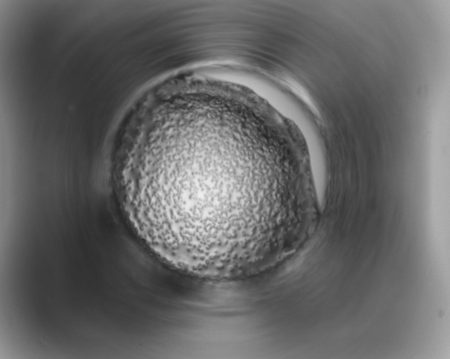 X0000089761116200707051828