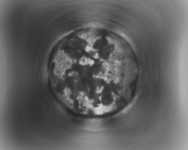 X0000089761117200707051828