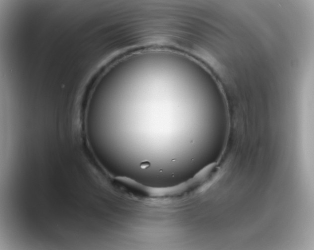 X0000089761118200707051828