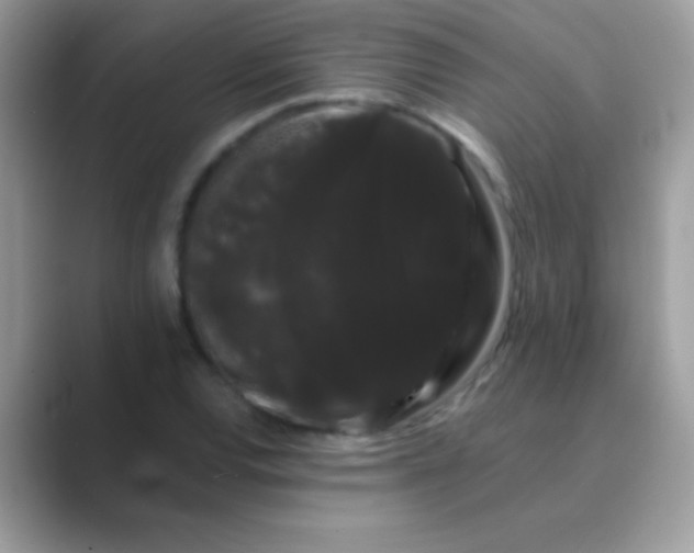 X0000089761120200707051828