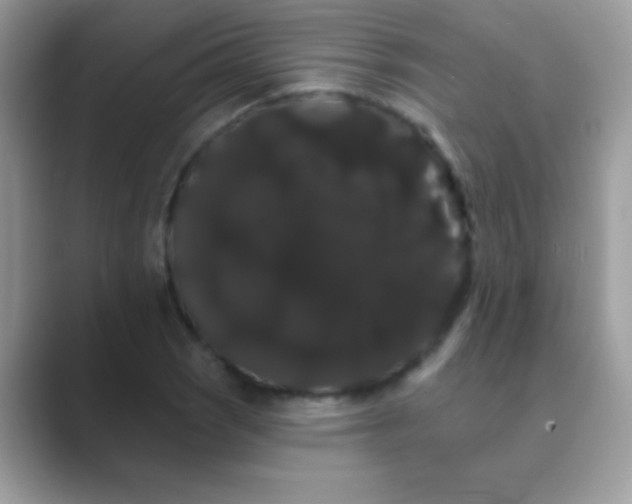 X0000089761121200707051828