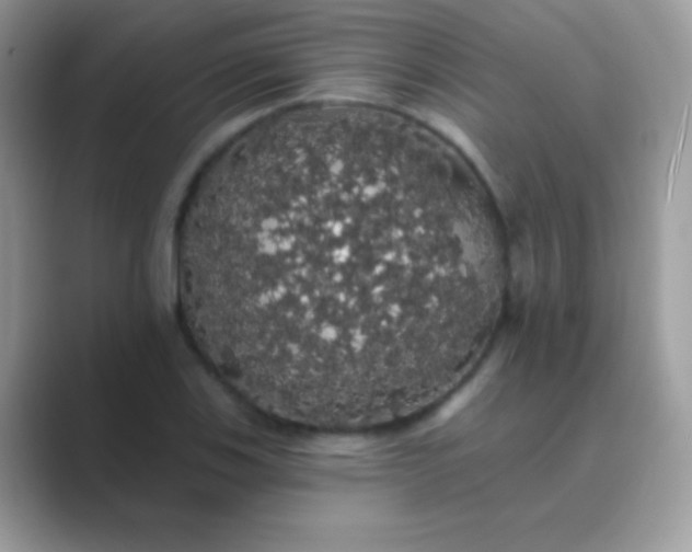 X0000089761123200707051828