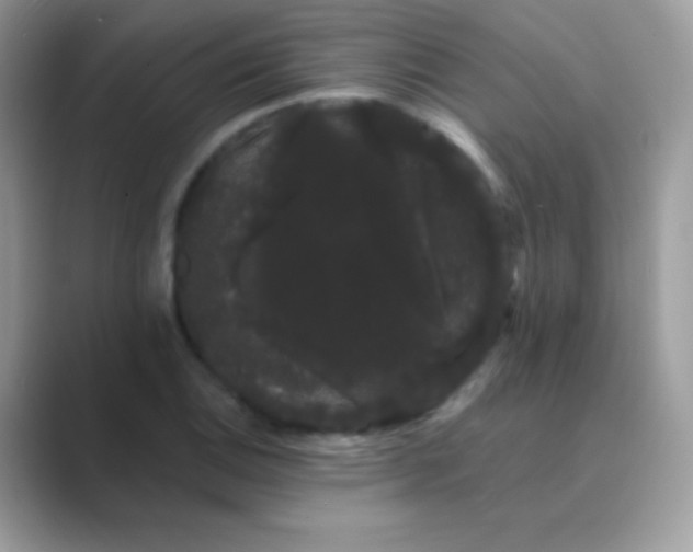 X0000089761124200707051828