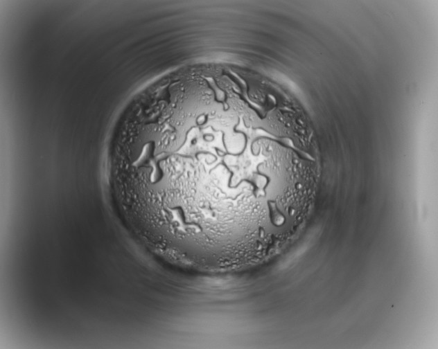 X0000089761125200707051828