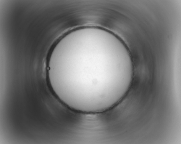 X0000089761126200707051828