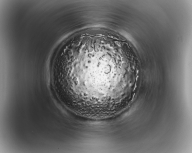 X0000089761127200707051828