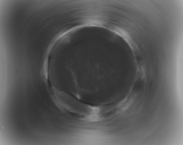 X0000089761128200707051828