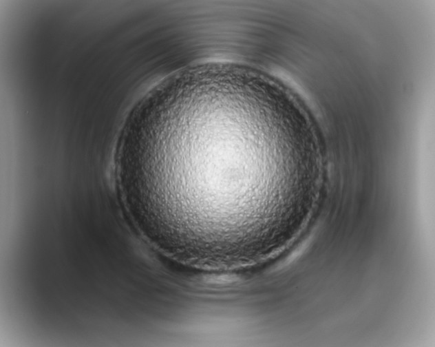 X0000089761129200707051828