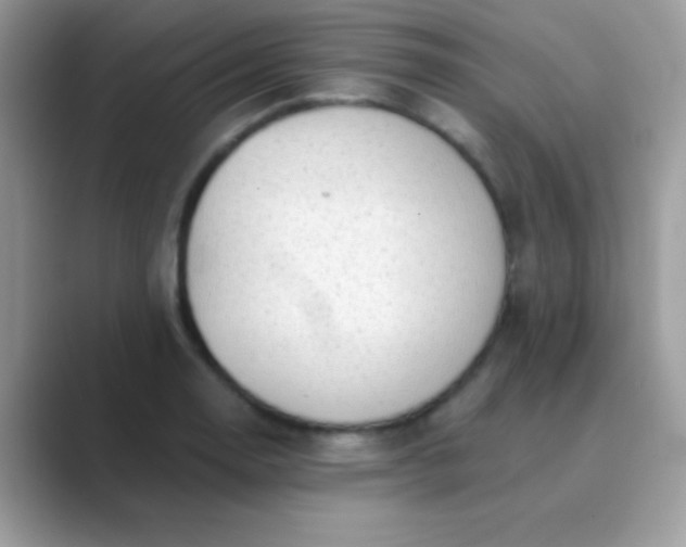 X0000089761130200707051828