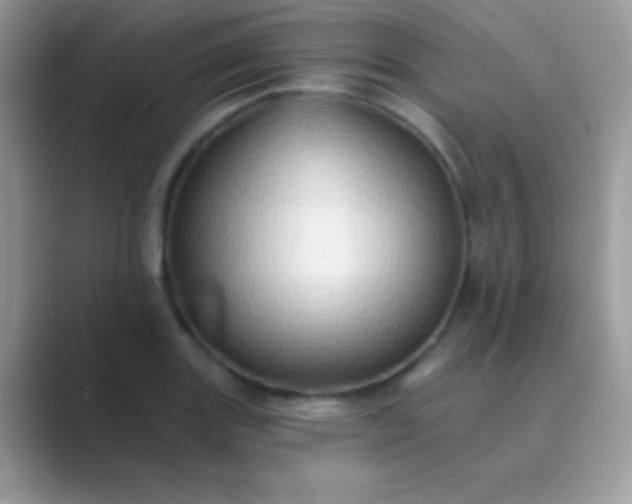 X0000089761131200707051828