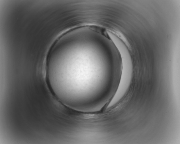 X0000089761132200707051828