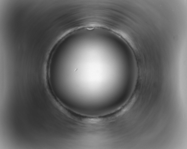 X0000089761134200707051828