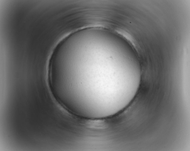 X0000089761135200707051828