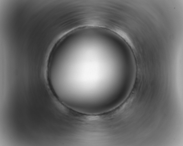 X0000089761136200707051828