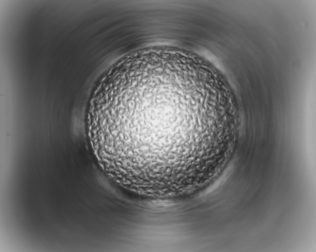 X0000089761137200707051828