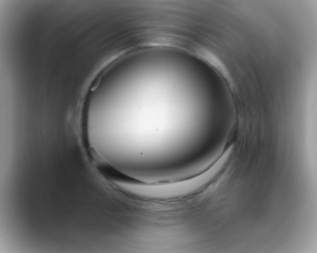 X0000089761138200707051828