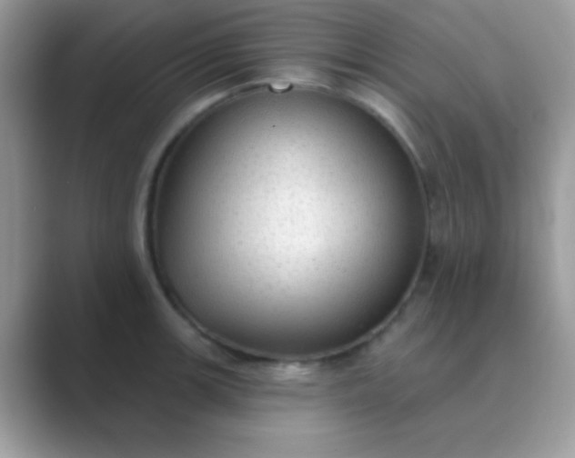 X0000089761139200707051828