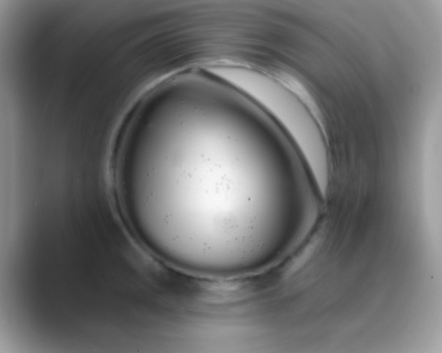 X0000089761141200707051828