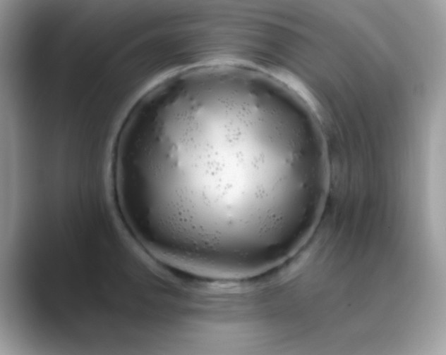 X0000089761142200707051828