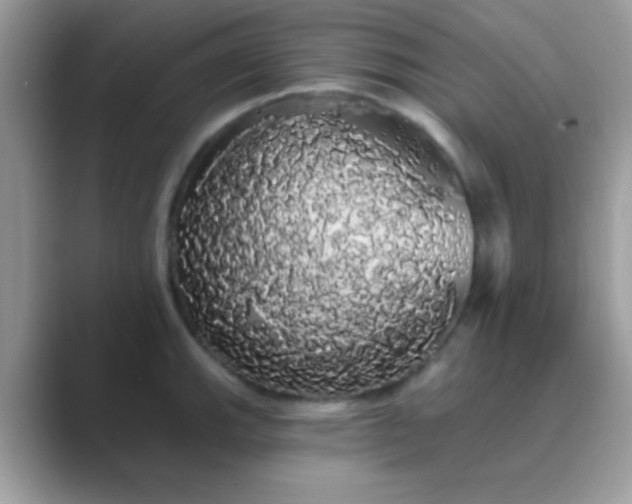 X0000089761143200707051828