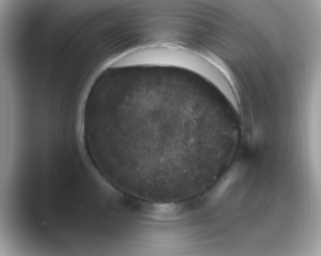 X0000089761144200707051828