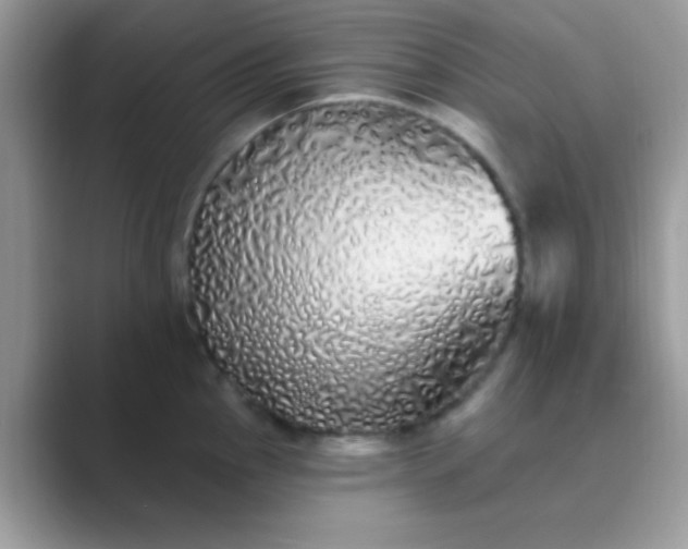 X0000089761145200707051828