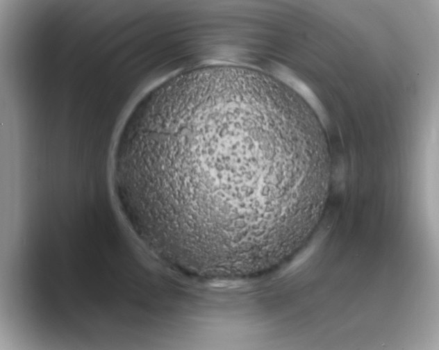 X0000089761146200707051828