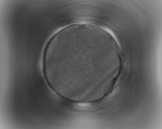 X0000089761147200707051828