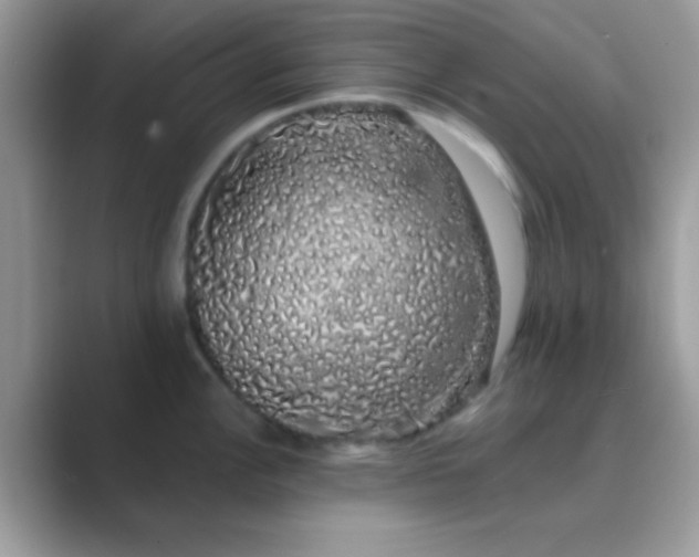 X0000089761148200707051828