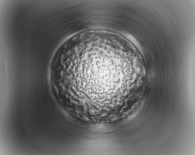 X0000089761149200707051828