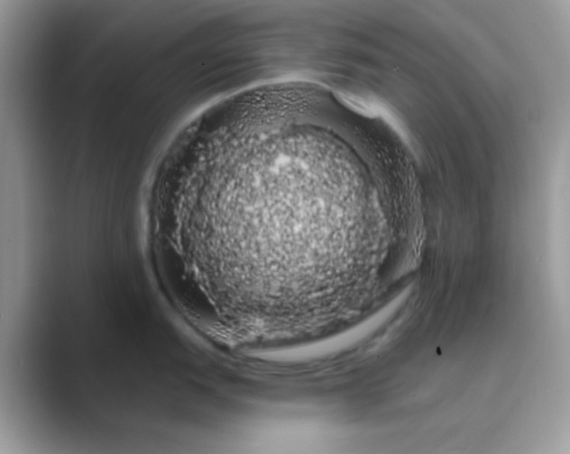 X0000089761151200707051829