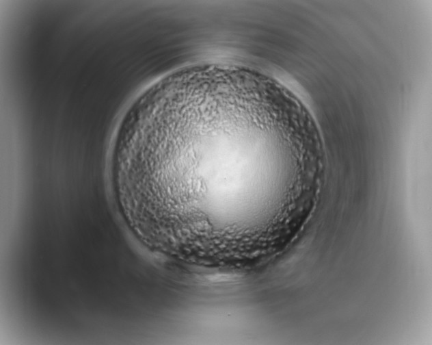 X0000089761152200707051829