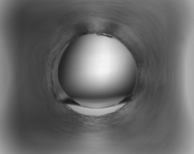 X0000089761153200707051828